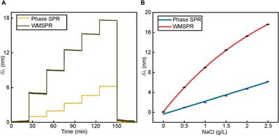 An ultra-sensitive biosensor based on surface plasmon resonance and weak value amplification